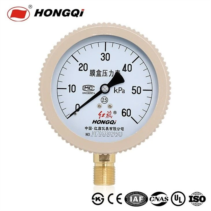 YE-100 Capsule Low Pressure Gauge OEM Design Pressure Meter